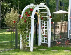 Vinyl Arbor
